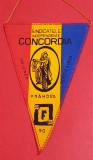 Fanion Sindicatele Independente &quot;CONCORDIA&quot; / &quot;FRATIA&quot; Prahova