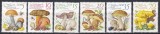 Germania RDG 1980 - Ciuperci, MNH
