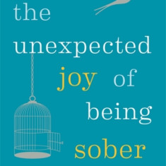 The Unexpected Joy of Being Sober: Discovering a Happy, Healthy, Wealthy Alcohol-Free Life