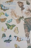 Clipa de Curaj sau Drumul Spre Zoorlanda - Vladimir Nabokov, 1996, Panteon, Romana, Beletristica, Roman Paperback