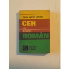 MIC DICTIONAR CEH - ROMAN de TEODORA DOBRITOIU - ALEXANDRU 1983