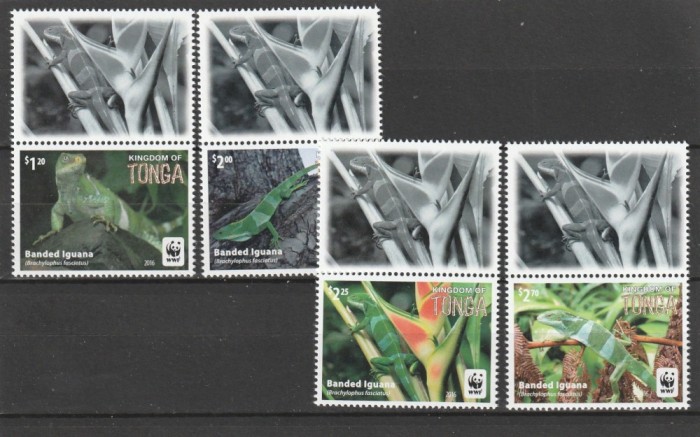 Tonga 2016 - Fauna , WWF , Iguana , serie 4 valori cu vigneta poz.III , dantelate , MNH , Mi.2098-2101