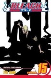 Bleach, Volume 15