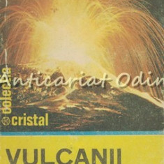 Vulcanii Terrei - Ion Manta