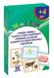 Oameni, animale, plante, fenomene ale naturii, elemente de igiena, anotimpuri - 36 de jetoane |, Didactica Publishing House