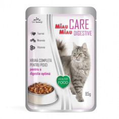 Plicuri MIAU MIAU Care Digestive cu Miel in Gelatina