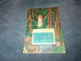 L N TOLSTOI - PUTEREA COPILARIEI