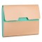 Servietă Organizatoare Documente, Model 13 Compartimente, Culoare Mentă și Somon, Dimensiuni 33x27 cm