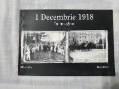 Emanuel Badescu - 1 Decembrie in Imagini foto