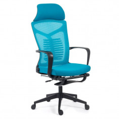 Scaun ergonomic cu suport picioare, 119-129 cm, mesh, cadru plastic, maxim 120 kg, Albastru foto