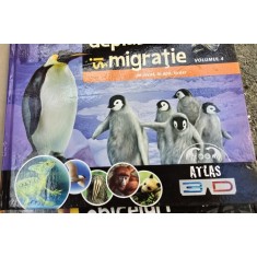 Deplasare si migratie pe uscat, in apa, in aer vol.4