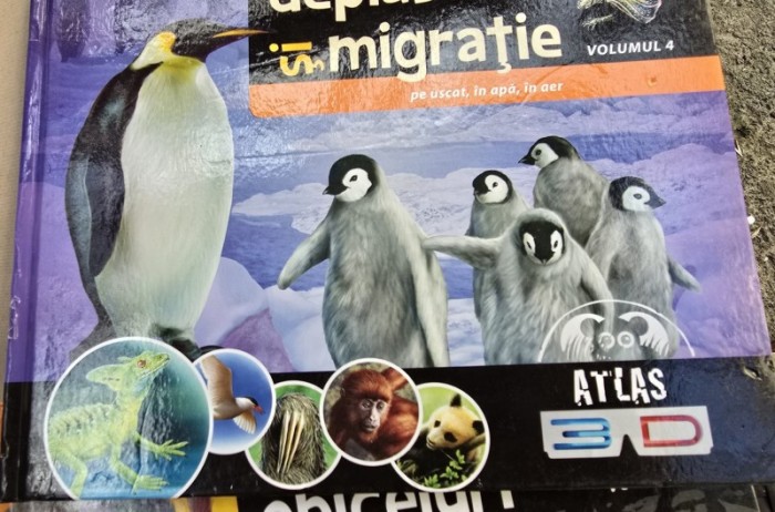 Deplasare si migratie pe uscat, in apa, in aer vol.4