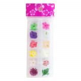 Cumpara ieftin Flori uscate nail art, set 12 culori