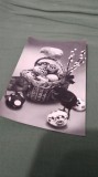 Cumpara ieftin CARTE POSTALA FELICITARE CIRCULATA