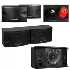 Set 2 boxe 3 cai 10 inch/25cm 80w rms foto