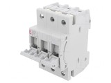 Separator cu Fuzibil D01 10A 400V 3 Poli pentru Șină DIN