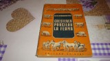 Dobrohotov - Cresterea porcilor la ferma - 1950