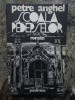 Petre Anghel - Scoala pedepselor - roman