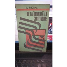 De la indoiala la certitudine - A.Migdal