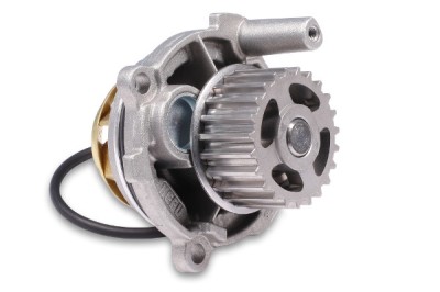 HEPU P572 Pompă de apă, răcire motor foto