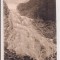 Carte postala circulata in anul 1917 Muntii carpati