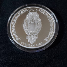 Republica Ciad 2024 - 5000 franci - Bufniță - 1 OZ - O monedă de argint