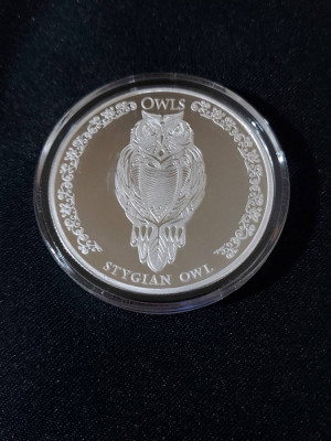 Republica Ciad 2024 - 5000 franci - Bufniță - 1 OZ - O monedă de argint foto