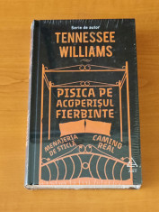 Tennessee Williams - Pisica pe acoperișul fierbinte. Menajeria de sticlă foto
