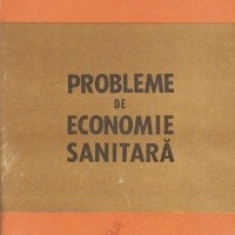 Probleme de economie sanitara