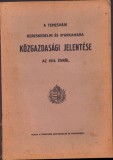 HST C1207 A temesvari Kereskedelmi es Iparkamara jelentese 1913