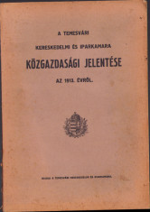 HST C1207 A temesvari Kereskedelmi es Iparkamara jelentese 1913 foto
