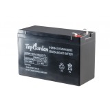 Acumulator 12V 8Ah TopGarden pentru pulverizator electric, plumb-acid
