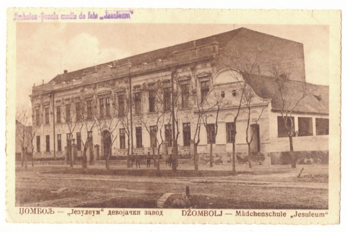 5194 - JIMBOLIA, Timis, High School, Romania - old postcard - used - 1925
