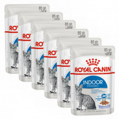 Royal Canin Indoor Sterilised In Jelly Plicule? 6 x 85 g foto