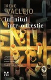 Infinitul intr-o trestie - Irene Vallejo