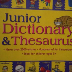 Cindy Leaney - Junior dictionary &amp; thesaurus (2005)