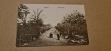Buzau - Bulevard