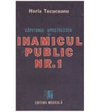 Horia Tecuceanu - Capitanul Apostolescu si inamicul public nr. 1 -