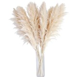 Cumpara ieftin Set 10 piese decor din iarba de pampas naturala Bannifll, inaltime totala 100 cm