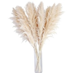 Set 10 piese decor din iarba de pampas naturala Bannifll, inaltime totala 100 cm foto
