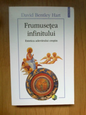 w0a Frumusetea infinitului. Estetica adevarului crestin - David Bentley Hart foto