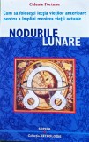 Cumpara ieftin Nodurile lunare - 2003 - Celeste Fortune (E399)