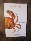 CRUDO -OLIVIA LAING