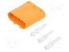 Conector alimentare DC, 1kV, 3 pini, seria LC, {{Dimensiune pin}}. AMASS - LCC30-M