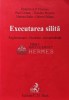 Executarea silita - 2009 - Dumitru A. P. Florescu (XD72)