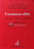 Executarea silita - 2009 - Dumitru A. P. Florescu (XD72)