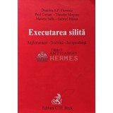 Executarea silita - 2009 - Dumitru A. P. Florescu (XD72)
