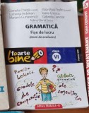 Gramatica. Fise de Lucru pentru clasa a VI-a