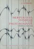 Morfologia Numelui In Protoromana (Romana Comuna) - I. Coteanu