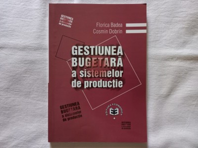 GESTIUNEA BUGETARA A SISTEMELOR DE PRODUCTIE - FLORICA BADEA, COSMIN DOBRIN foto